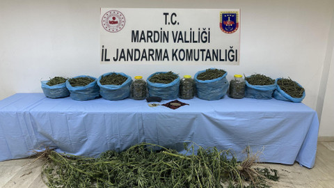 Mardin'de uyuşturucu operasyonu: 1 tutuklama