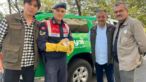 Yaralı baykuşa jandarma şefkati