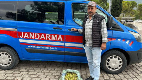 Manisa’da zeytin operasyonu: Suçüstü yakalandılar