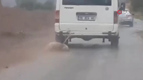 Köpeği minibüsün arkasında sürüklemişti: Dehşet veren görüntülerdeki sürücü tespit edildi!
