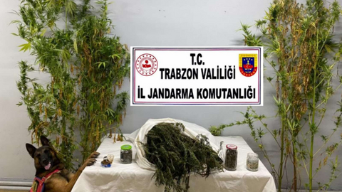 Trabzon'da uyuşturucu operasyonu: 3 gözaltı