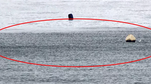 Deprem sonrası Marmara Denizi'nde korkutan görüntü! Yeni bir depremin habercisi mi?