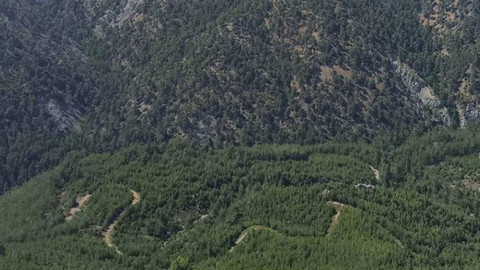 Milas ormanlarına kasım ayında düşen yağış miktarı açıklandı: Bodrumlular umutlu