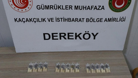 Türkiye'ye kaçak yollarla kraliçe arı getiren sanığa 5 yıla kadar hapsi istemi