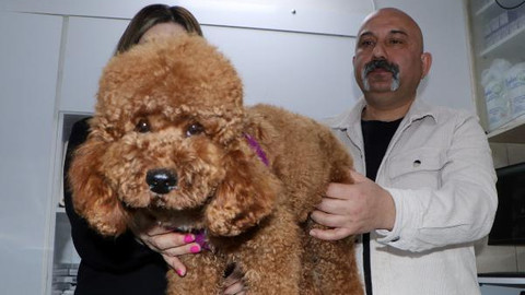 'Bambam'ın tik ve kas hastalığına botoks tedavisi