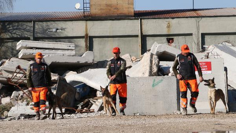 DAK Taburu'nun özel köpekleri, enkazda 10 metre derinlikte canlı bulabiliyor