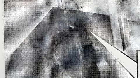 Sopayla kediye öldüren şüpheliye ev hapsi/ Fotoğraf