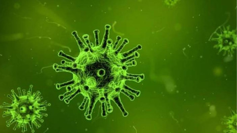 ZOMBİ VİRÜSÜ NEDİR? Methuselah Zombi Virüsü Belirtileri Neler, Bulaşıcı mı? Zombi Virüsü..