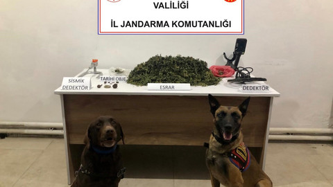 Cezaevine giren akrabalarının yarım bıraktığı işi tamamlamak istedi: Jandarma onu da yakaladı