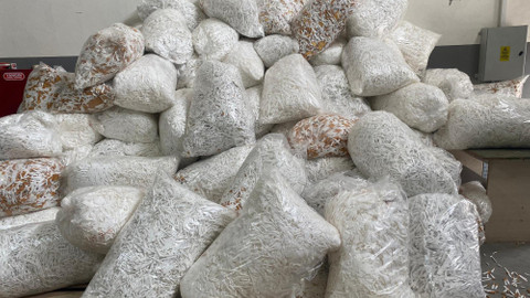 Adana'da 22 milyon 500 bin makaron ele geçirildi