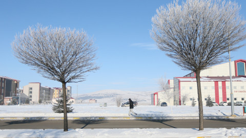 Erzurum, Kars, Ağrı, Ardahan ve Tunceli'de dondurucu soğuk etkisini sürdürüyor