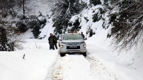 Yalova'da şahin ve kuzgunların yem kapma mücadelesi fotokapanla görüntülendi