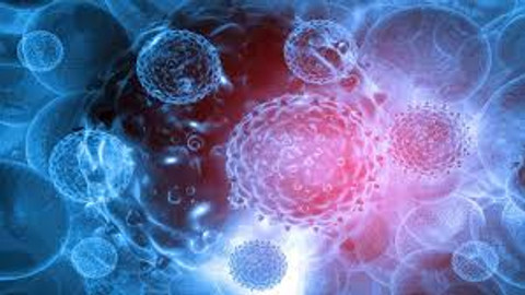 Pemfigus Hastalığı Nedir, Belirtileri Nelerdir? Pemfigus Hastalığı Neden Olur? Türkiye'de Görüldü
