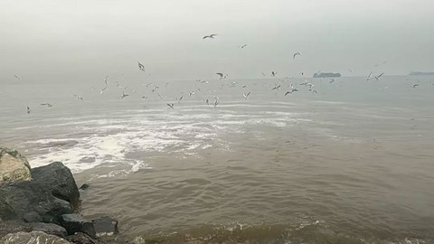 Beylikdüzü'nde kanalizasyon skandalı! Denizin rengi değişti
