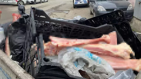 Çöp konteynerinde at eti ve kemikleri bulundu! Bölgede denetim başlatıldı