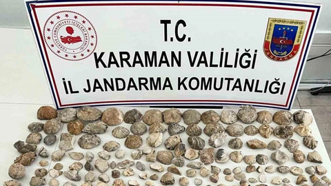 Jandarma binlerce bitki ve hayvan fosili ele geçirdi