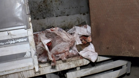 Sultangazi'de at eti baskını: Kamyonetten kilolarca at eti çıktı