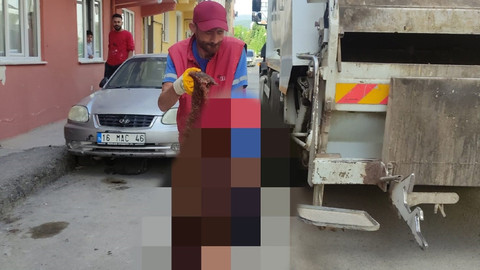 Konteynerde parçalara ayrılmış bedeni bulunmuştu! Başı ve derisi bahçede çıktı