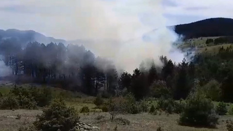 Sinop’ta korkutan orman yangını!