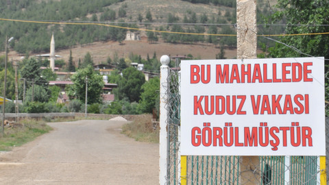 Bir kişiyi ısıran köpek kuduz çıktı bölge karantinada