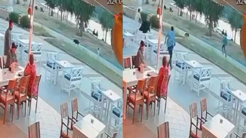 Sokak köpeği, kendisini sevmek isteyen çocuğu öldürüyordu