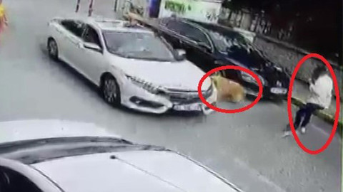Arabasıyla köpeğe çarptı yoluna devam etti!