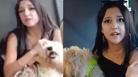 Köpekle otobüse bindi tepki gösteren yolcularla kavga etti!