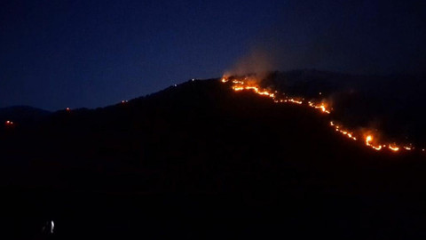 Ot yangını ormana sıçradı!