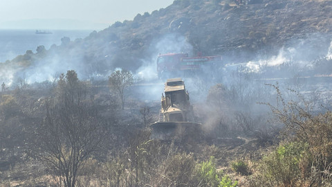 Foça'da orman yangınının sebebi belli oldu