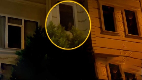 Mahalleyi yıllardır uyutmuyor! Pencereye çıkıp sabaha kadar çığlık atıyor!