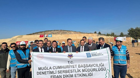 Muğla’da yükümlüler 250 çam fidanı dikti