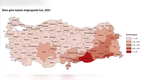 Türkiye’de sadece 10 il, nüfusunu yenileme yeterliliğine sahip