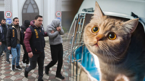 'Evcil hayvan' çetesi çökertildi! 110 milyon TL'lik vurgun yapmışlar
