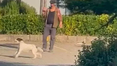 Bir hayvanı eğitmek için ötekine eziyet etti