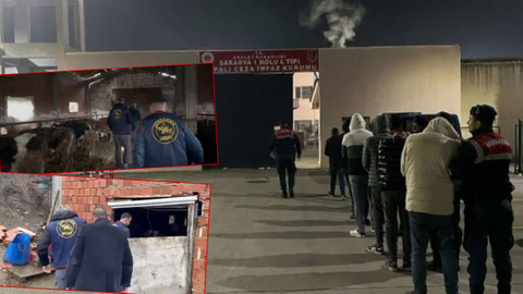 JASAT organize hayvan kaçakçılığı çetesini çökertti