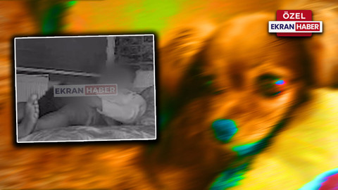 Evcil hayvana cinsel taciz! Mide bulandıran görüntülere Ekran Haber ulaştı