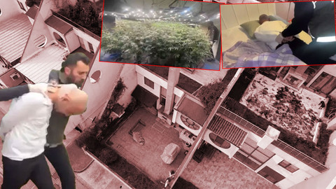 Mahkeme uyurken yakalanan şüpheliyi tutukladı! Villada uyuşturucu serası