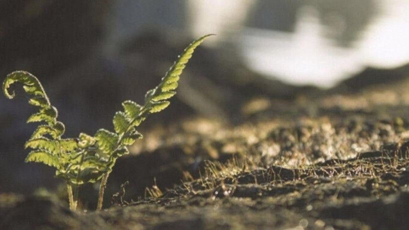 Anadolu geleneğinde 'cemre' neyi ifade ediyor? Fırat Çukurçayır açıkladı