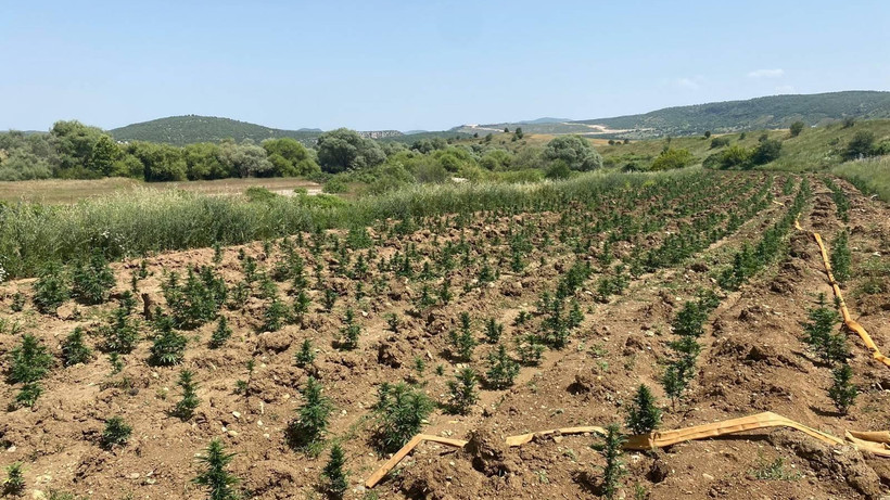 Jandarmadan PKK'nın uyuşturucu ağına darbe!