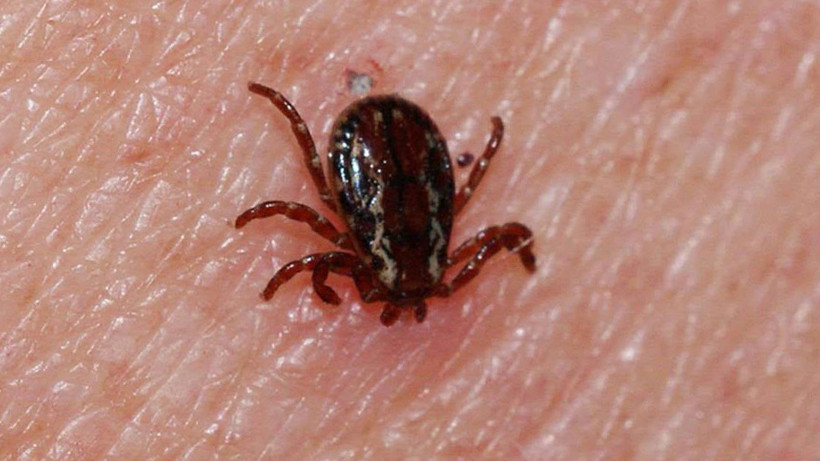 Keneden bir kişi daha öldü