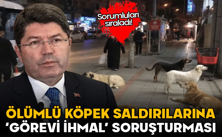 Ölümlü köpek saldırılarına görevi ihmal soruşturması