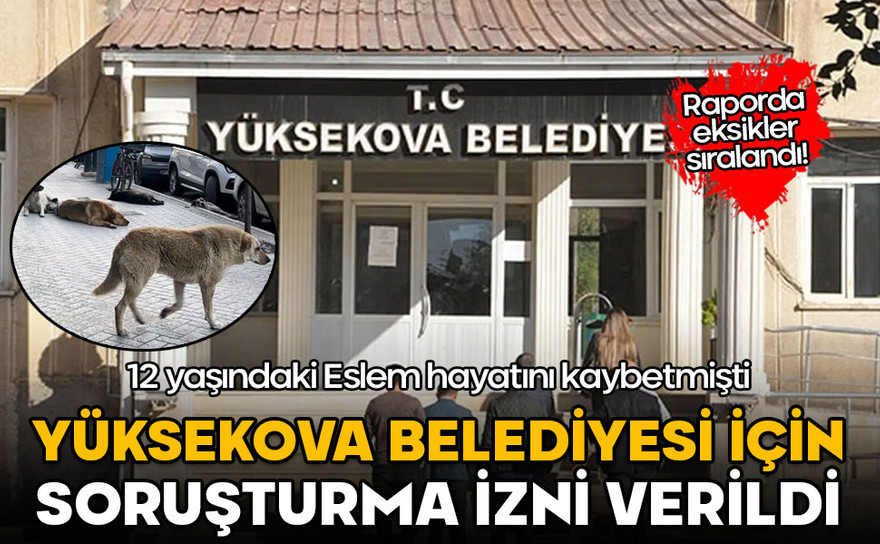 Yüksekova Belediyesi'ne soruşturma: Eksikler rapora girdi