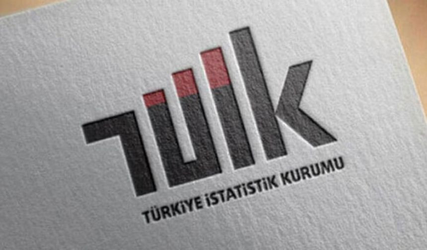 TÜİK Lisans mezunlarında istihdam oranı yüzde 71,7