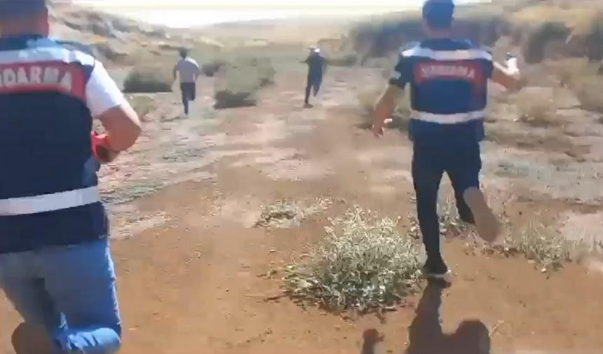 sanliurfa jandarma fistik hirsizlari 1