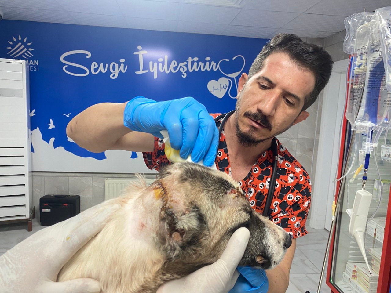 Adıyaman'da bıçaklanan köpek3