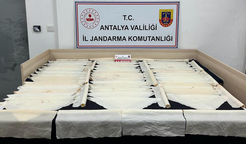jasat-antalya-zehir-taciri2