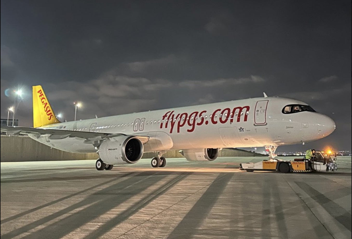 pegasus_2