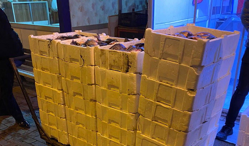 egirdir-cin-sazani-iha4