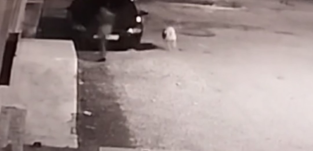 hatay köpek saldırısı