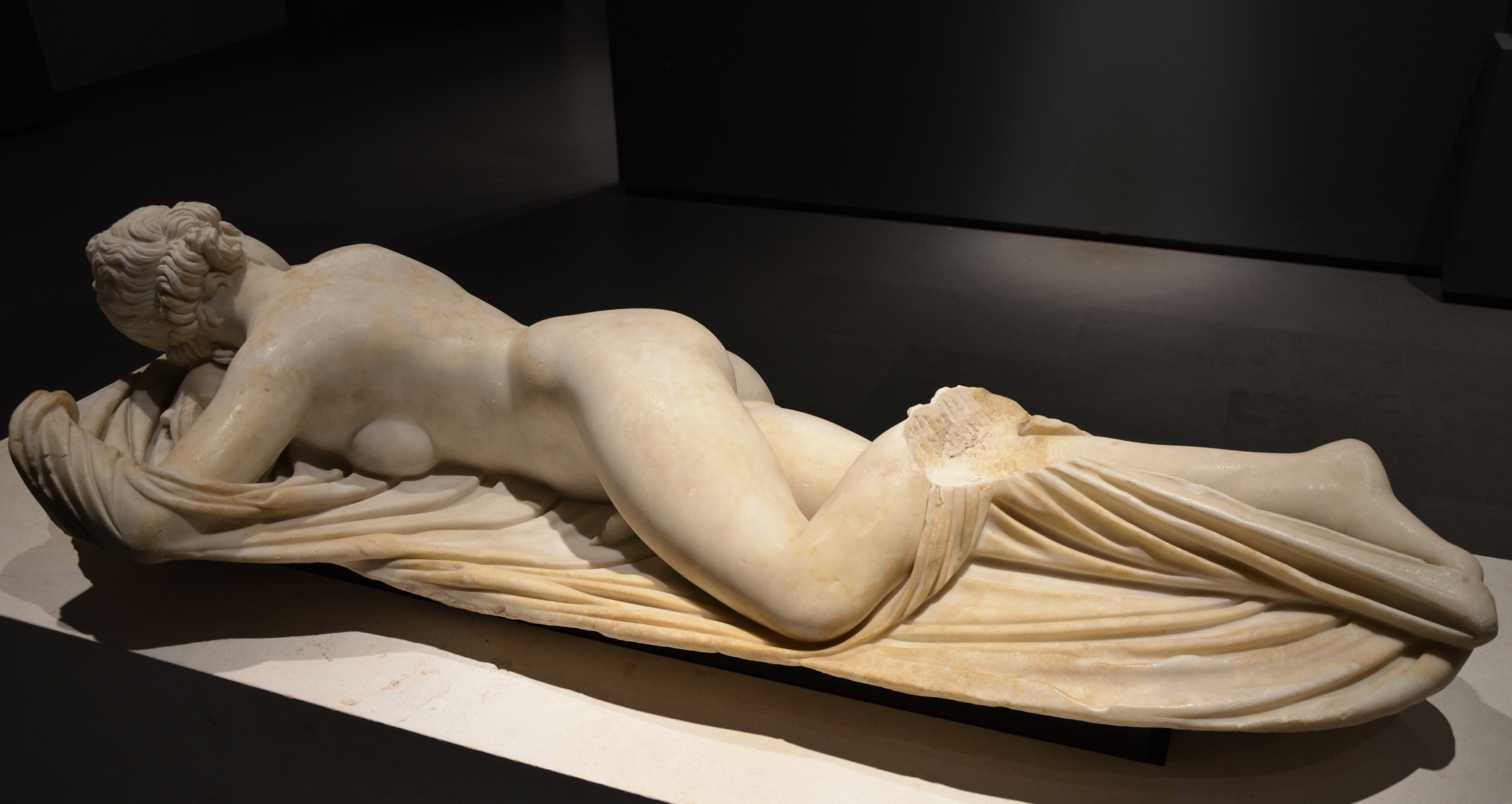 Hermaphroditus 08012024 1